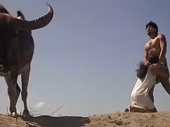 Tôn sùng với móng ta ...