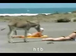 Đẹp Phao đến từ Hawa ...