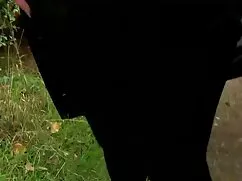 Tay phim sex quay lé ...